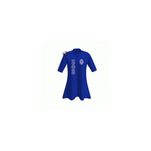 Omega PSI Hoodie